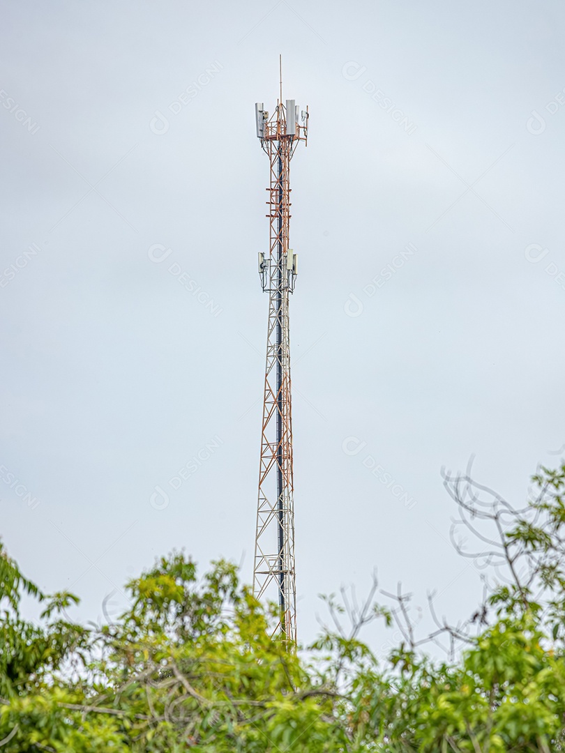 Grande torre metálica de telecomunicações atrás de vegetação com céu azul ao fundo
