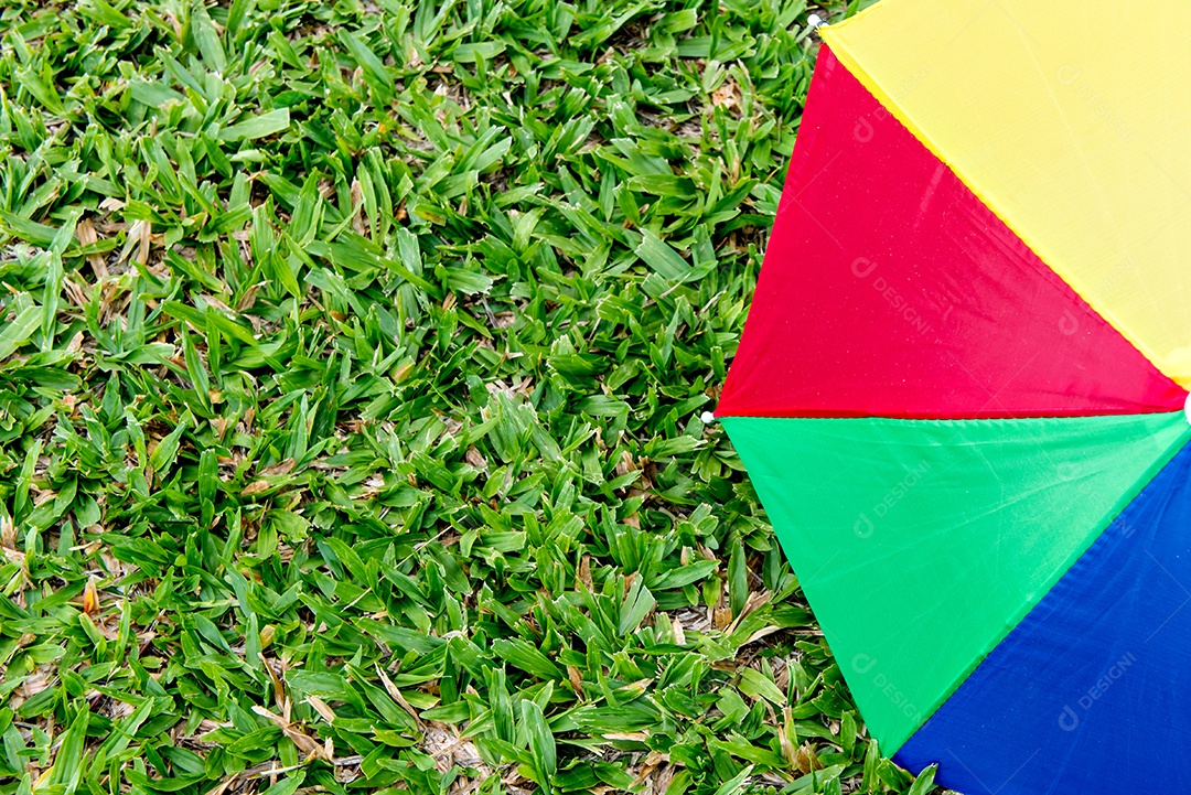 Guarda-chuva colorida na grama, festa de carnaval brasileira