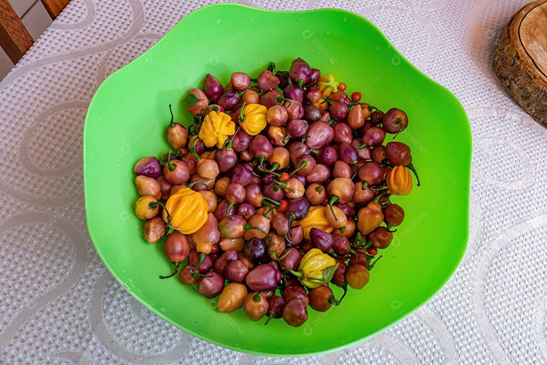 Frutas de pimentas pequenas em uma panela de plástico verde