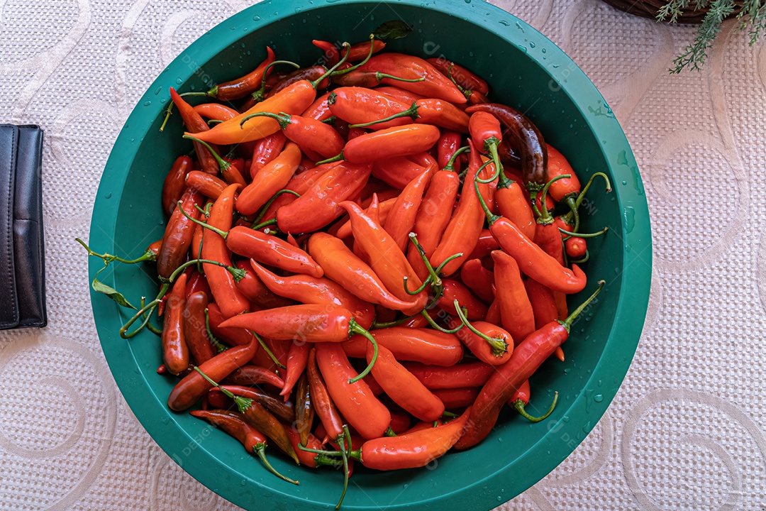 Muitas pimentas vermelhas grandes em uma tigela ciano