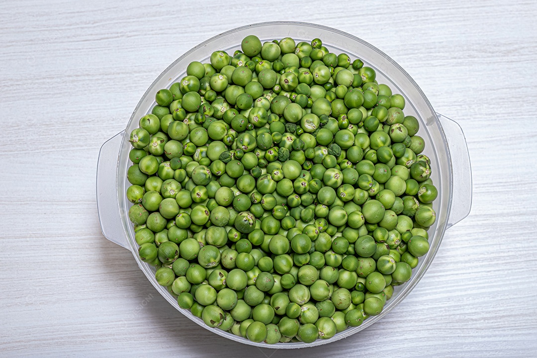 Pequenos frutos verdes de jurubeba coletados em um recipiente.