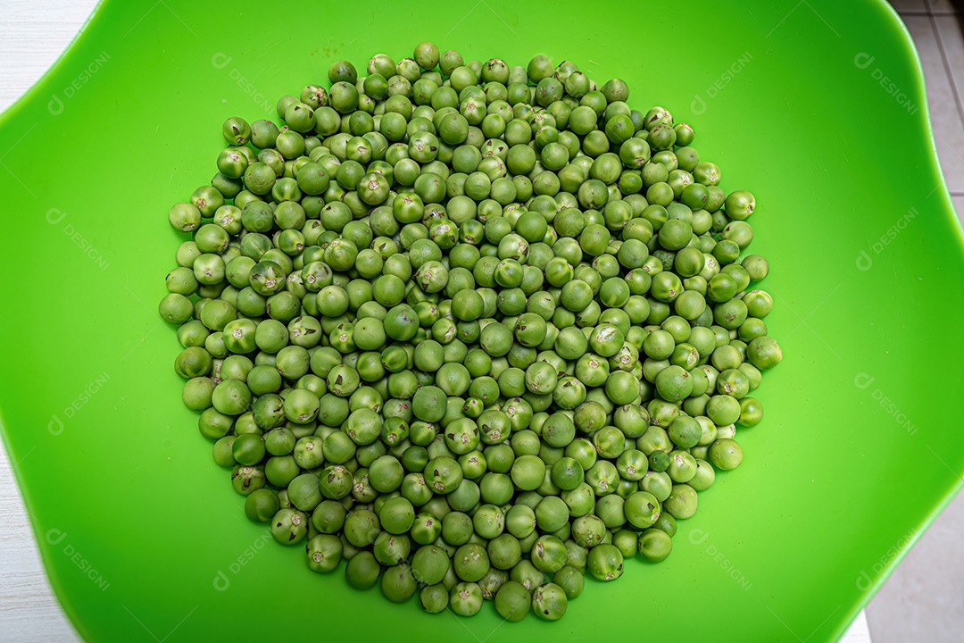 Pequenos frutos verdes de jurubeba coletados em um recipiente.