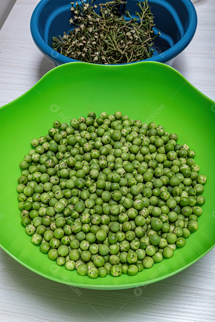 Pequenos frutos verdes de jurubeba coletados em um recipiente.