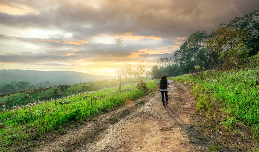 Vista traseira de uma mulher relaxada caminhando na estrada no campo