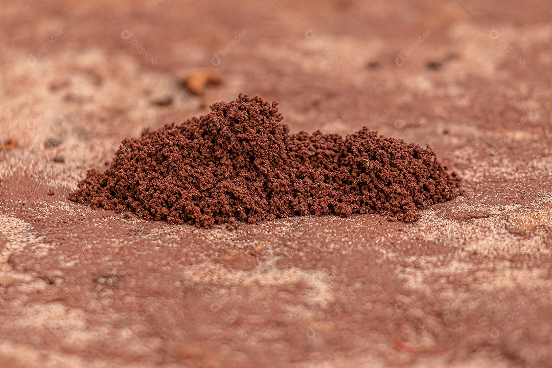 Entrada de formigueiro granulada pequena na superfície feita de terra vermelha