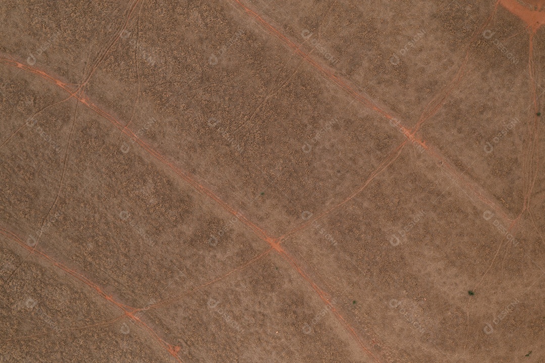 pasto seco visto de cima - visão de drone