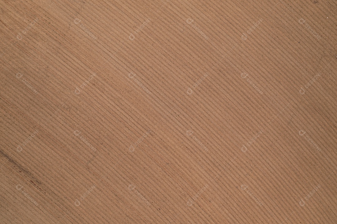 canavial recém-plantado visto de cima - vista de drone