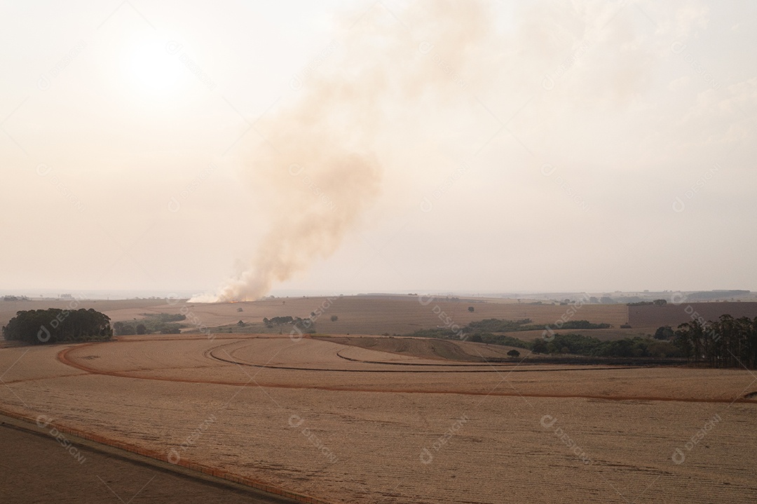 Incêndio em canavial visto de cima e de longe - visão de drone
