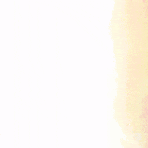 Motion Hoje Celebramos as Mulheres Dia Internacional Da Mulher After Effects Editável