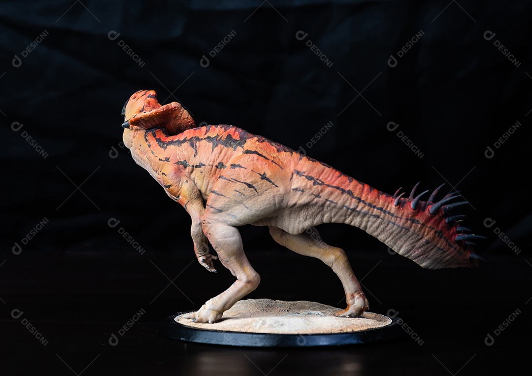 Protoceratops, dinossauro no fundo preto