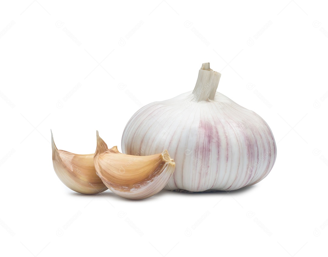 Um único bulbo de alho branco fresco com segmentos é isolado em fundo branco