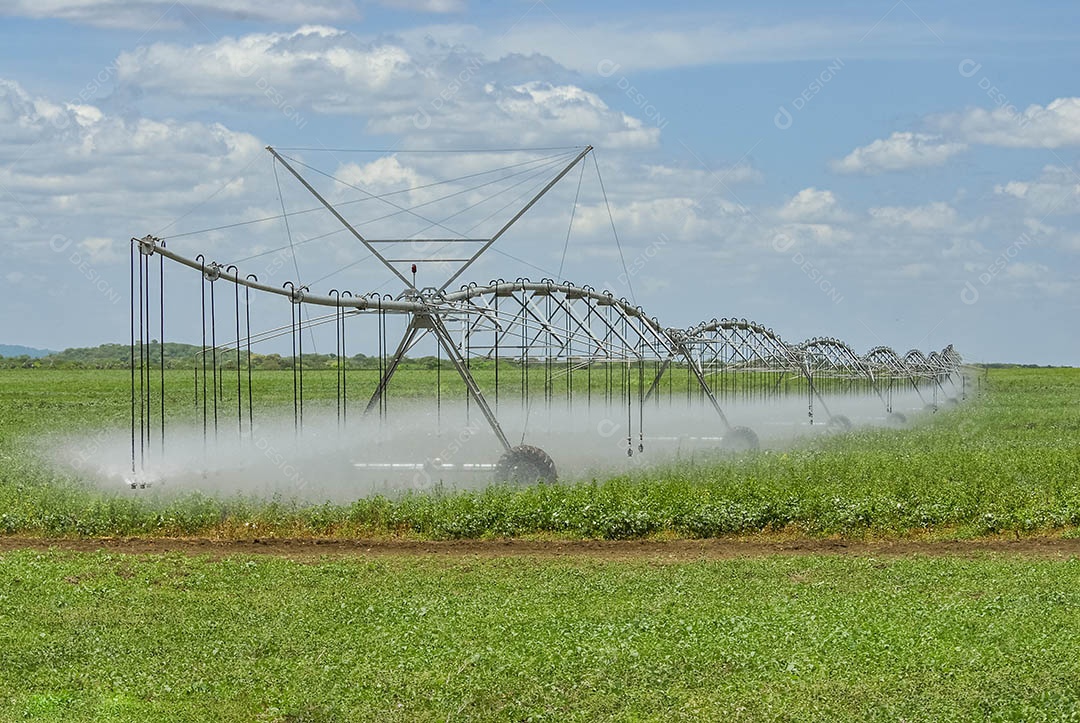 Sistema de irrigação por pivô central em operação em Sousa, Paraíba  Agricultura brasileira.