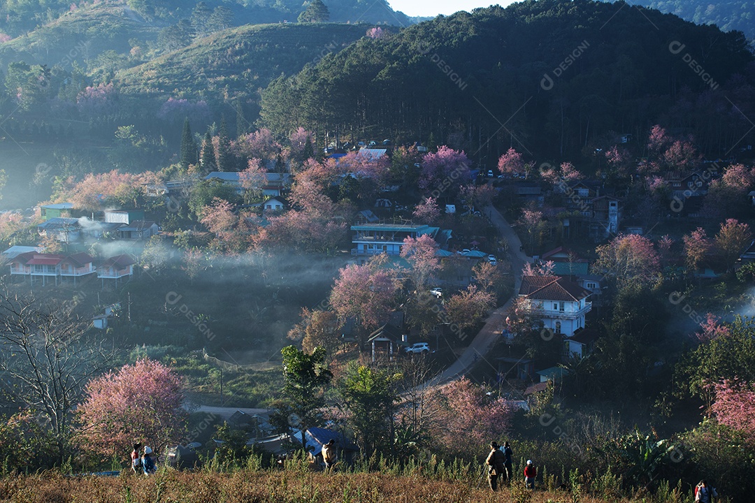 Paisagem de lindas flores silvestres de cereja do Himalaia florescendo rosa