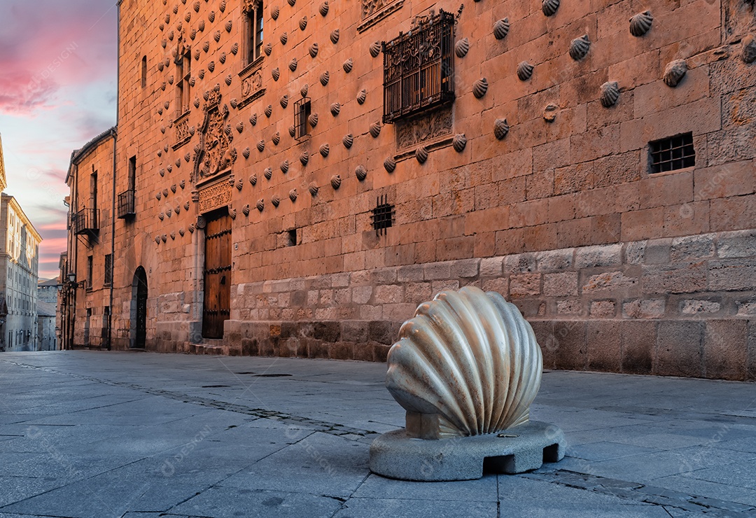 Uma concha, símbolo do Caminho de Santiago na rua