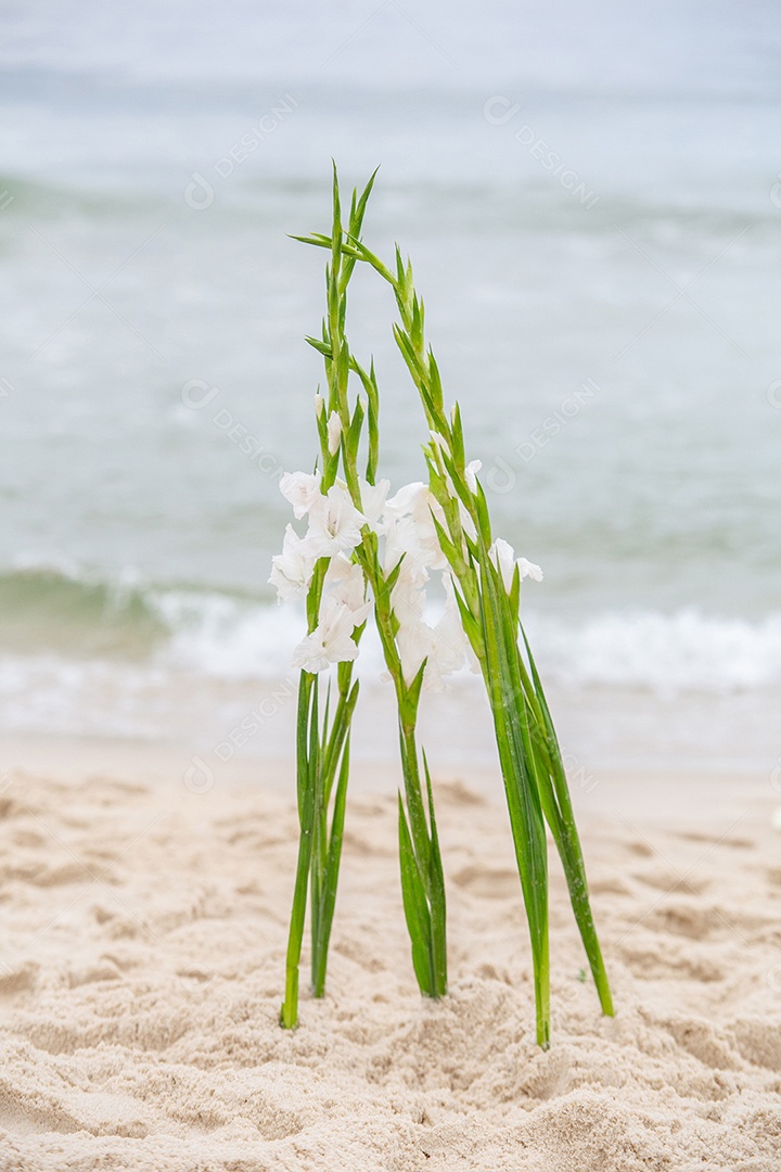 Flores em homenagem a Iemanjá, durante festa na praia de Copacabana.