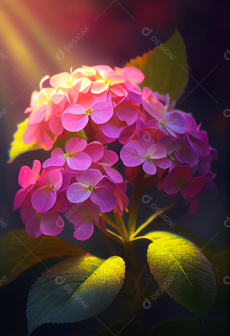 Lindas flores sobre fundo isolado