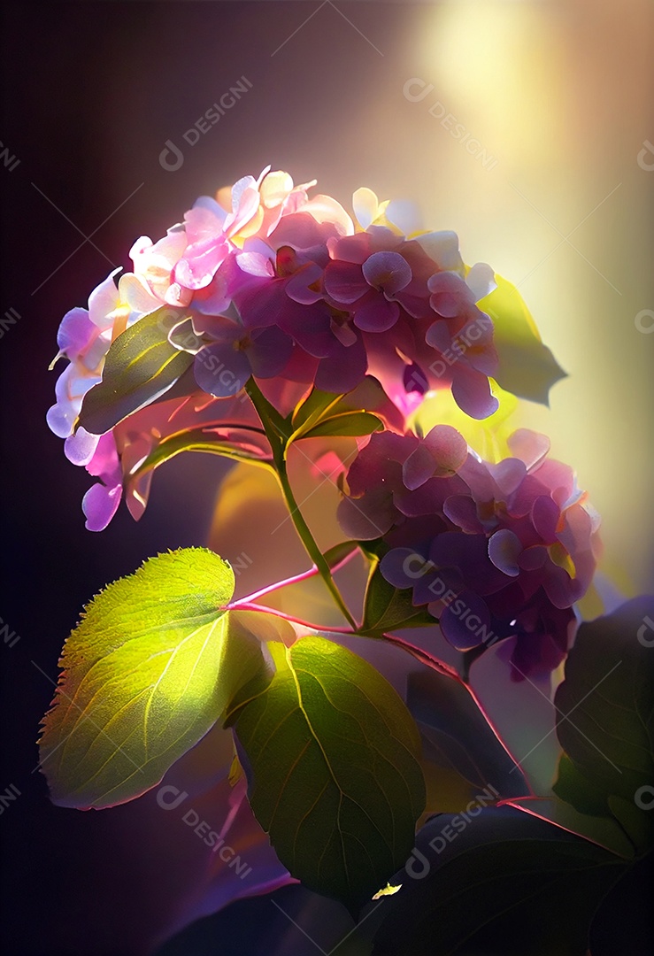 Lindas flores sobre fundo isolado