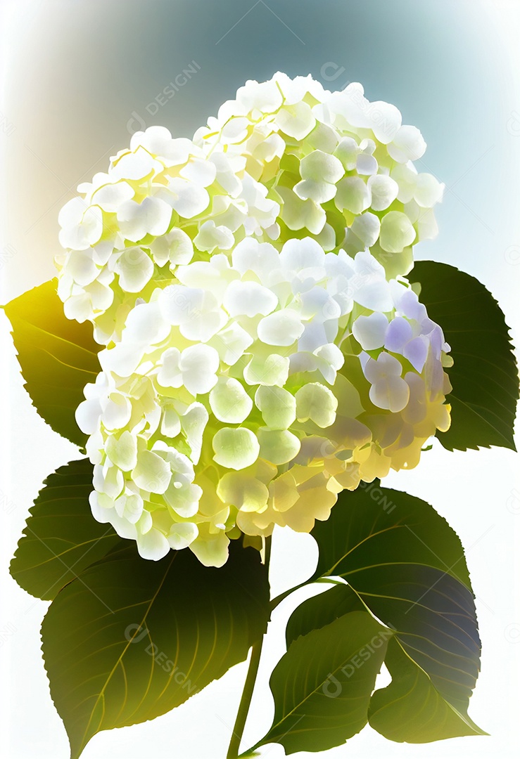 Lindo Jardim encantado