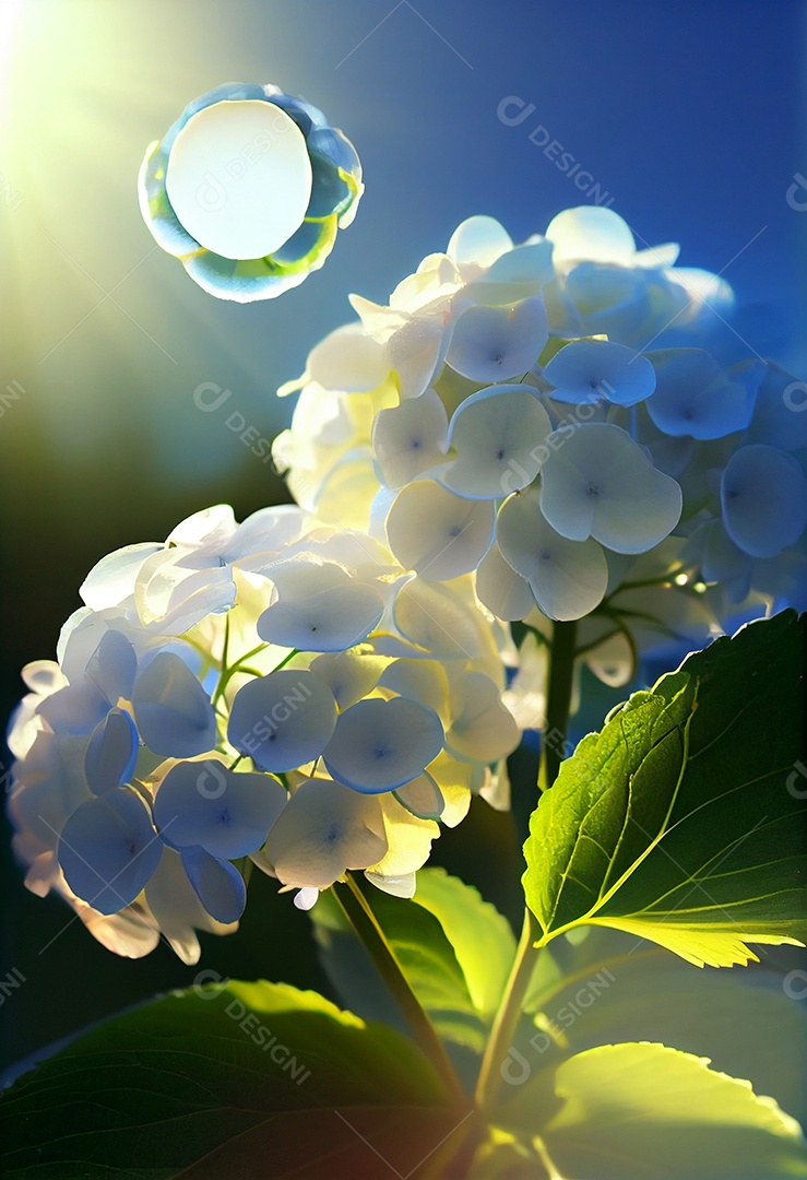 Lindo Jardim encantado