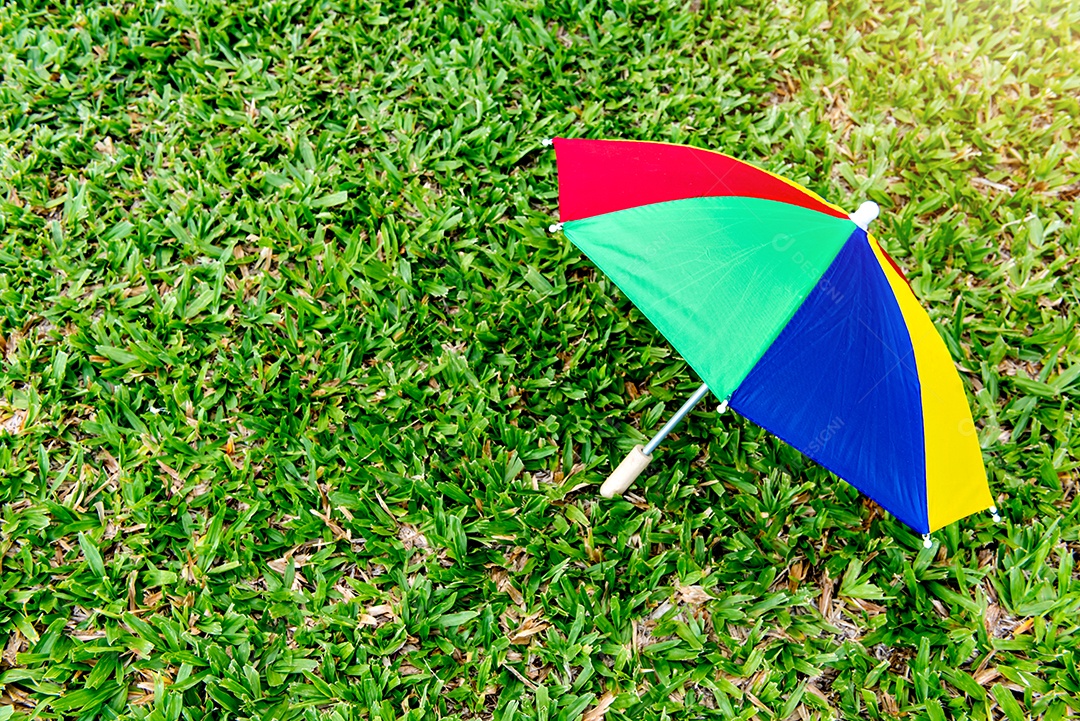 Itens de carnaval brasileiro deitado na grama, chapéu colorido, umbre