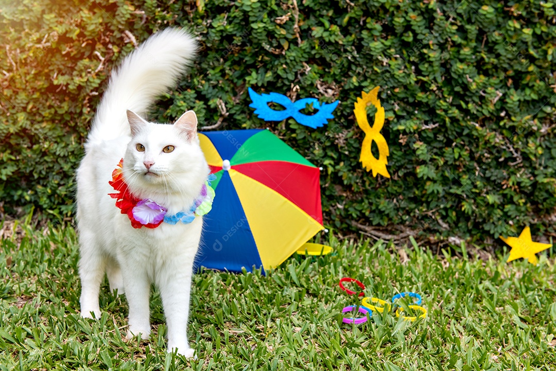 Gato branco no carnaval brasileiro, carnaval de estimação