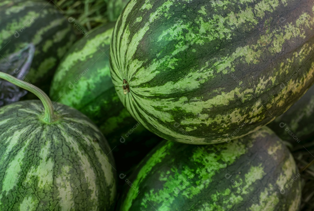 Closeup pilha de melancias de casca verde no mercado.