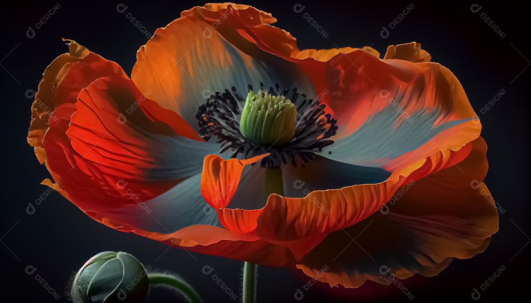 Flor de papoula de primavera realista 3D