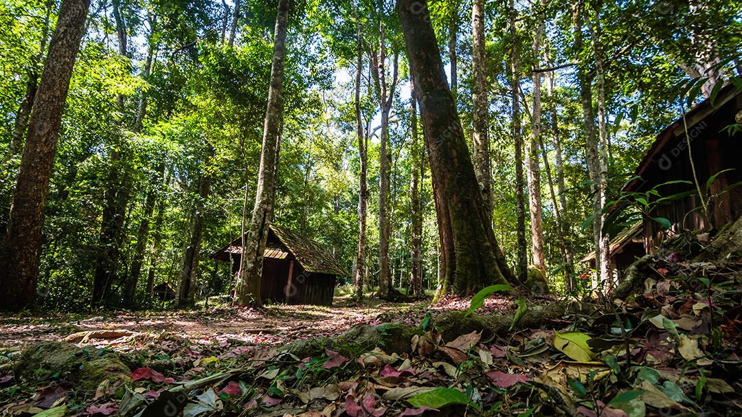 Escola Militar no parque nacional phu hin rong kla tailândia