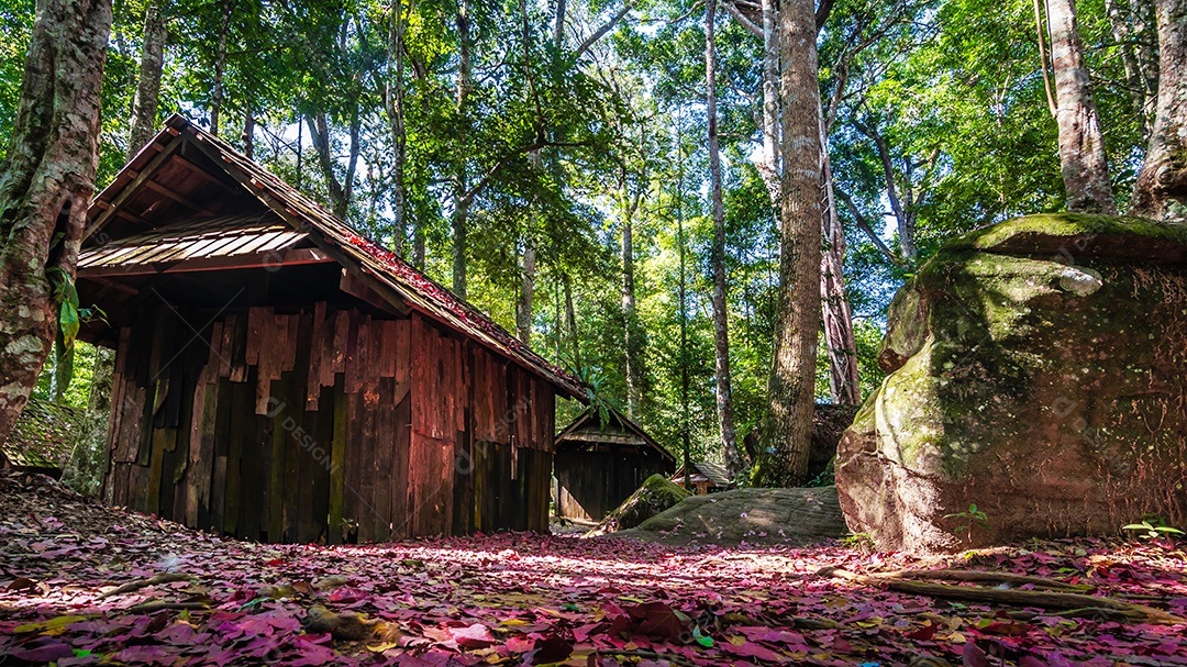 Escola Militar no parque nacional phu hin rong kla tailândia