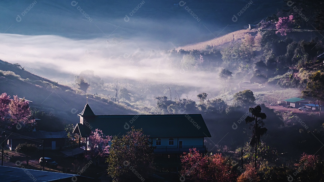 Paisagem de lindas cerejeiras selvagens do Himalaia florescendo rosa