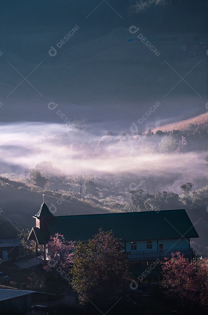 Paisagem de lindas cerejeiras selvagens do Himalaia florescendo rosa