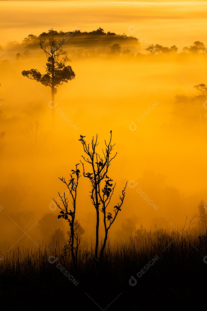 O sol sobre as montanhas e vastas pastagensTailândia