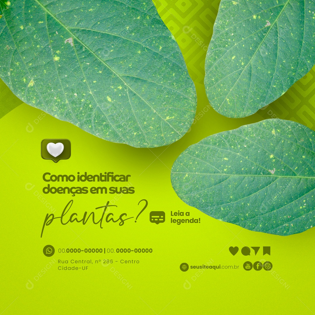 Como identificar Doenças em Suas Plantas? Cultivo de Plantas Social Media PSD Editável