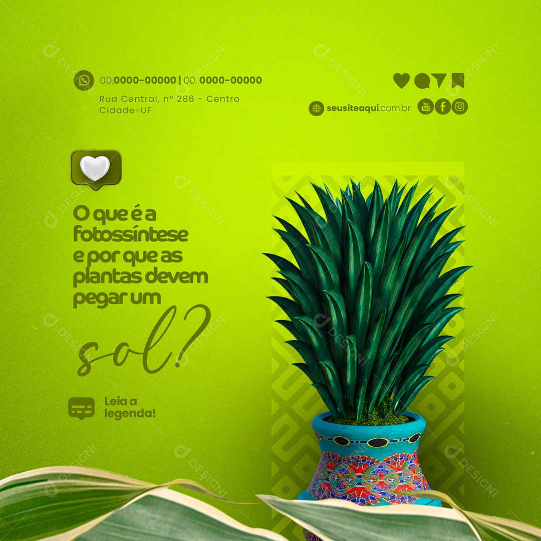 O que é Fotossíntese? Cultivo de Plantas Social Media PSD Editável