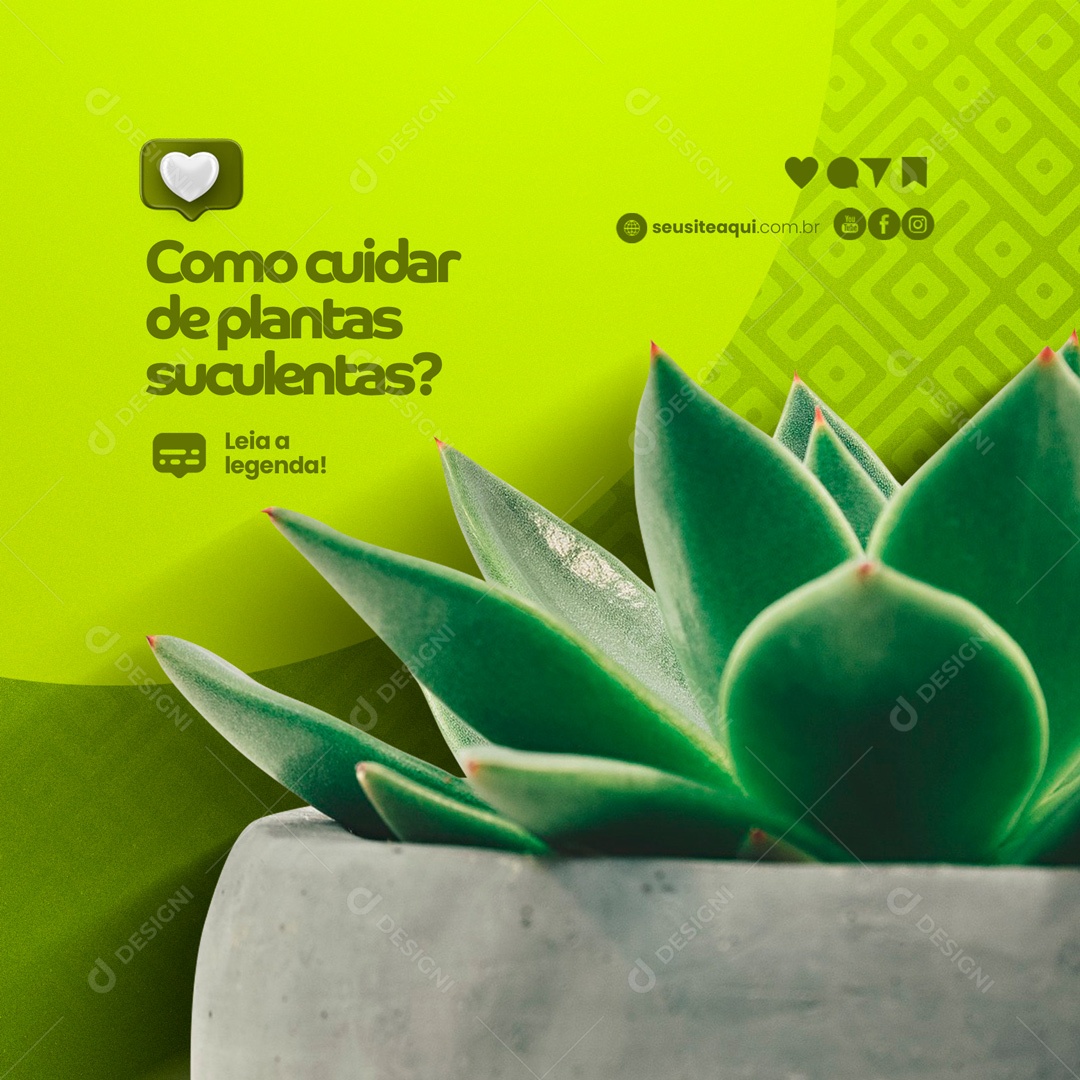 Como Cuidar de Plantas Suculentas? Cultivo de Plantas Social Media PSD Editável