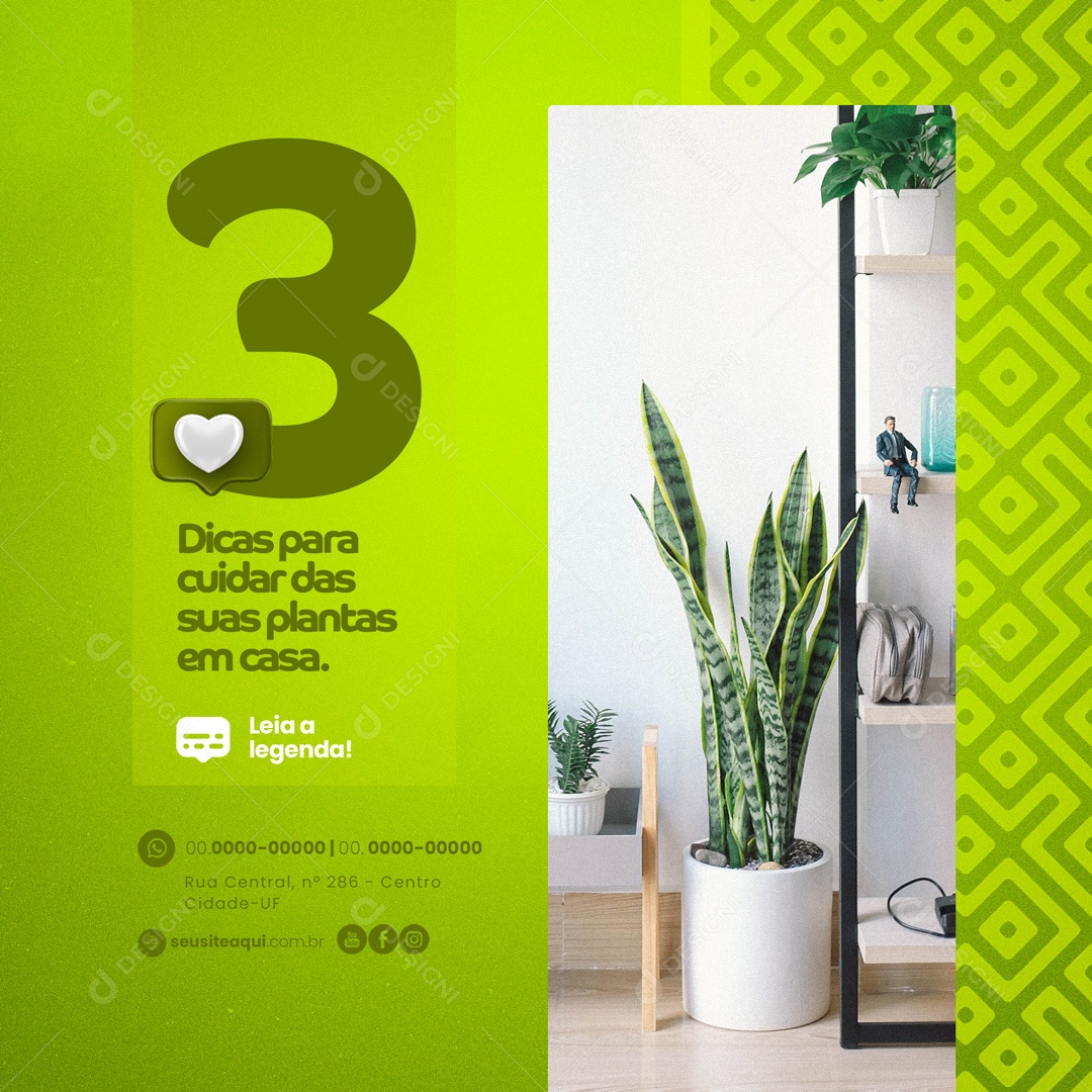 Social Media 3 Dicas Para Cuidar das Suas Plantas em Casa. Cultivo de Plantas PSD Editável