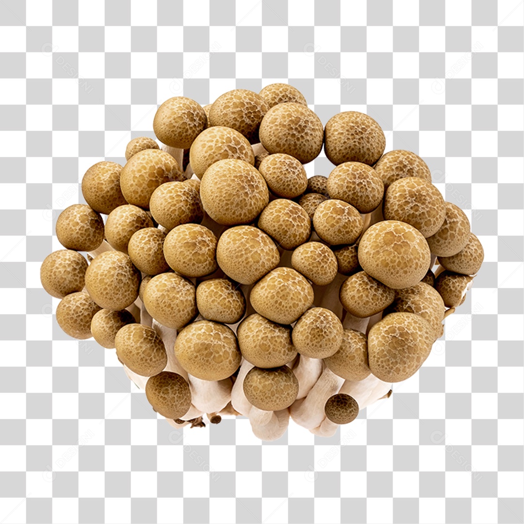 Monte de Cogumelos PNG Transparente