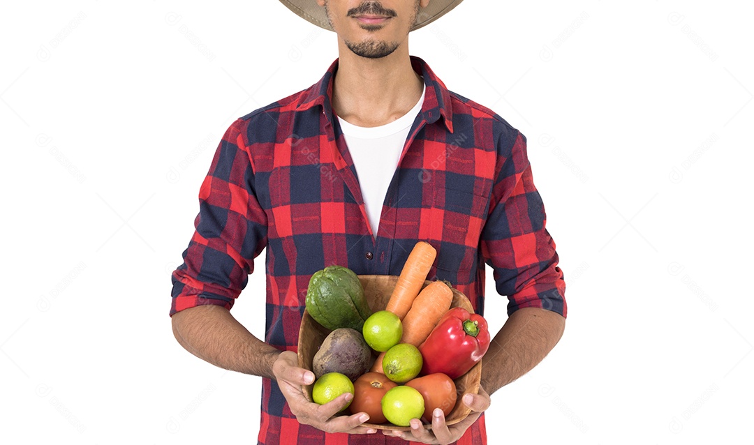 Fazendeiro Midsection segurando uma cesta de legumes (cenoura, limão, tomate, chuchu e beterraba) isolado no fundo branco