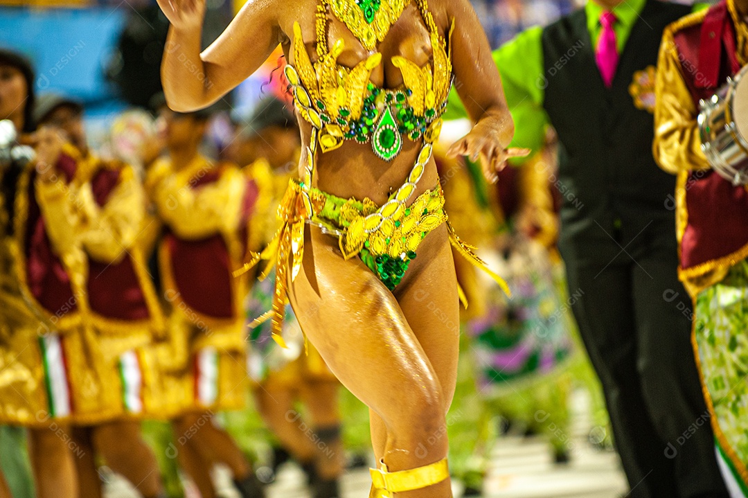 Carnaval no Brasil, na Passarela do Samba, a maior festa popular do mundo, com muita cor, alegria, alegorias, bailarinos, sambistas, fantasias coloridas e muito samba