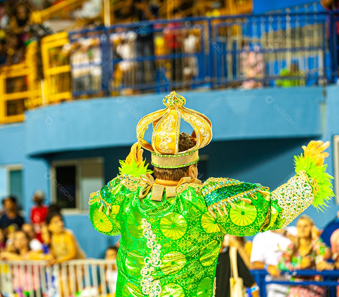 Carnaval no Brasil, na Passarela do Samba, a maior festa popular do mundo, com muita cor, alegria, alegorias, bailarinos, sambistas, fantasias coloridas e muito samba