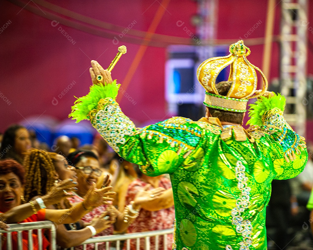 Carnaval no Brasil, na Passarela do Samba, a maior festa popular do mundo, com muita cor, alegria, alegorias, bailarinos, sambistas, fantasias coloridas e muito samba