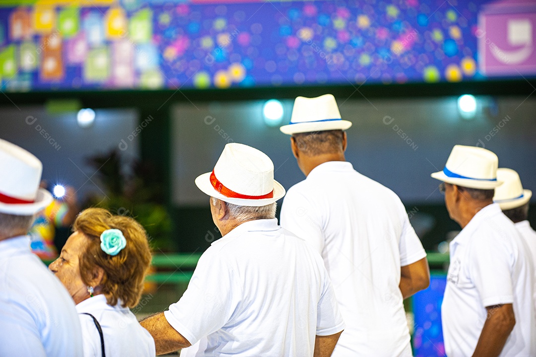 Carnaval no Brasil, na Passarela do Samba, a maior festa popular do mundo, com muita cor, alegria, alegorias, bailarinos, sambistas, fantasias coloridas e muito samba