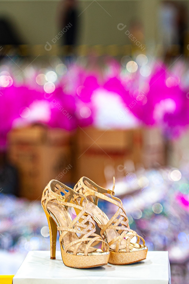 Carnaval no Brasil, na Passarela do Samba, a maior festa popular do mundo, com muita cor, alegria, alegorias, bailarinos, sambistas, fantasias coloridas e muito samba