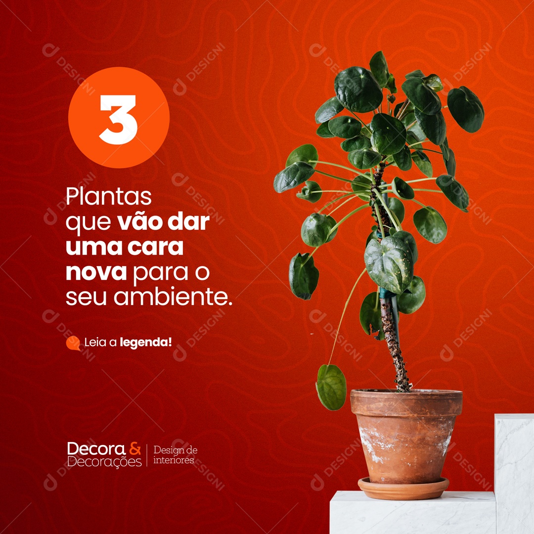 Plantas Que Vão Dar Uma Cara Nova Para O Seu Ambiente Decora & Decorações Design de Interiores Social Media PSD Editável