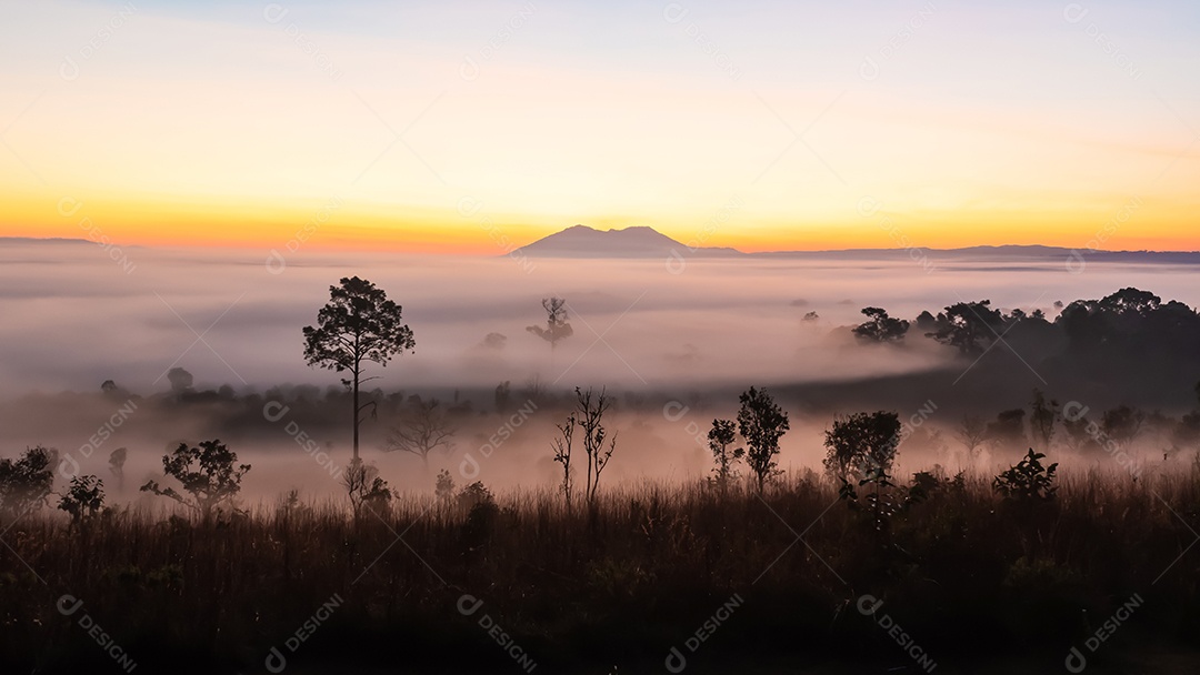O sol sobre as montanhas e vastas pastagens