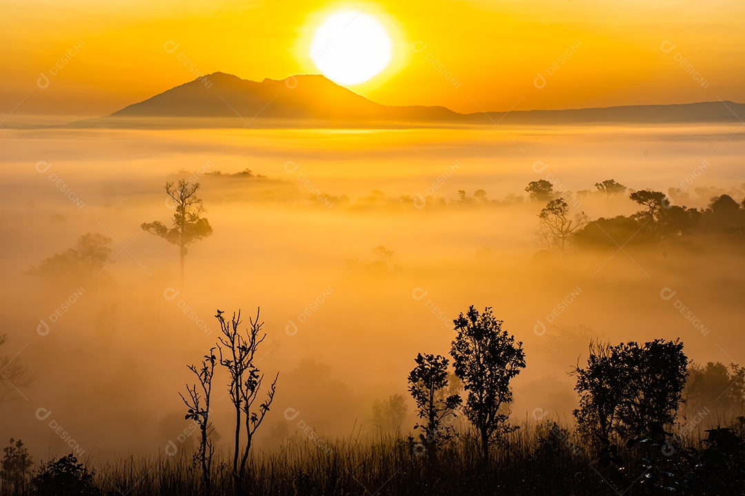 O sol sobre as montanhas e vastas pastagens
