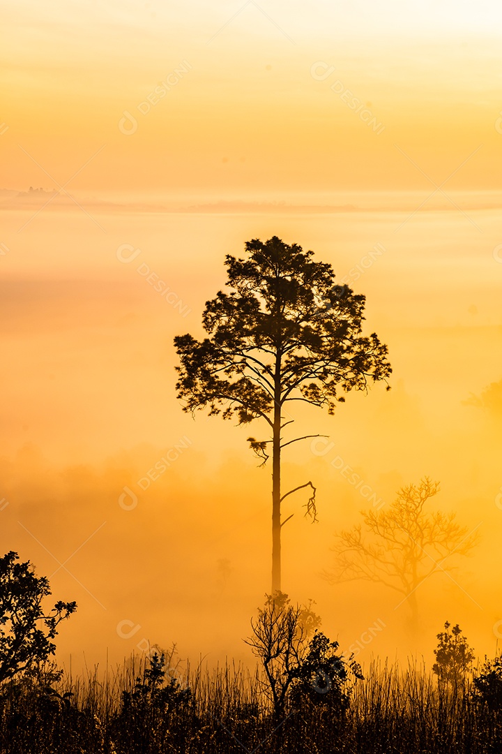 O sol sobre as montanhas e vastas pastagens