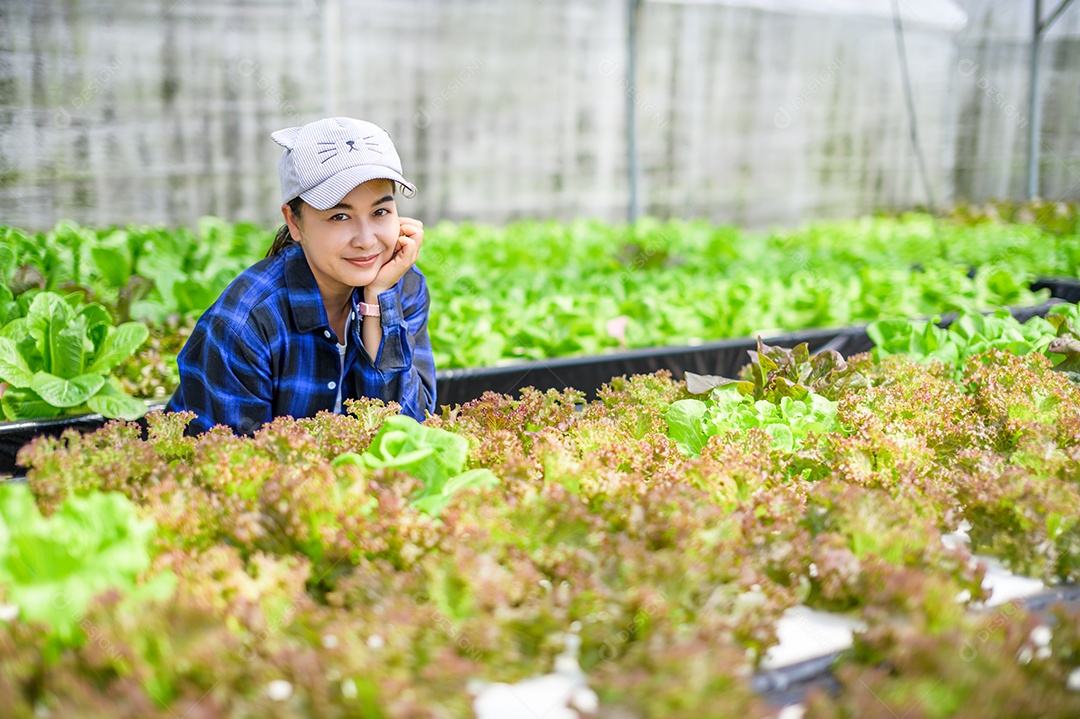 Mulher agricultora cuidando Horta hidropônica, vegetais orgânicos