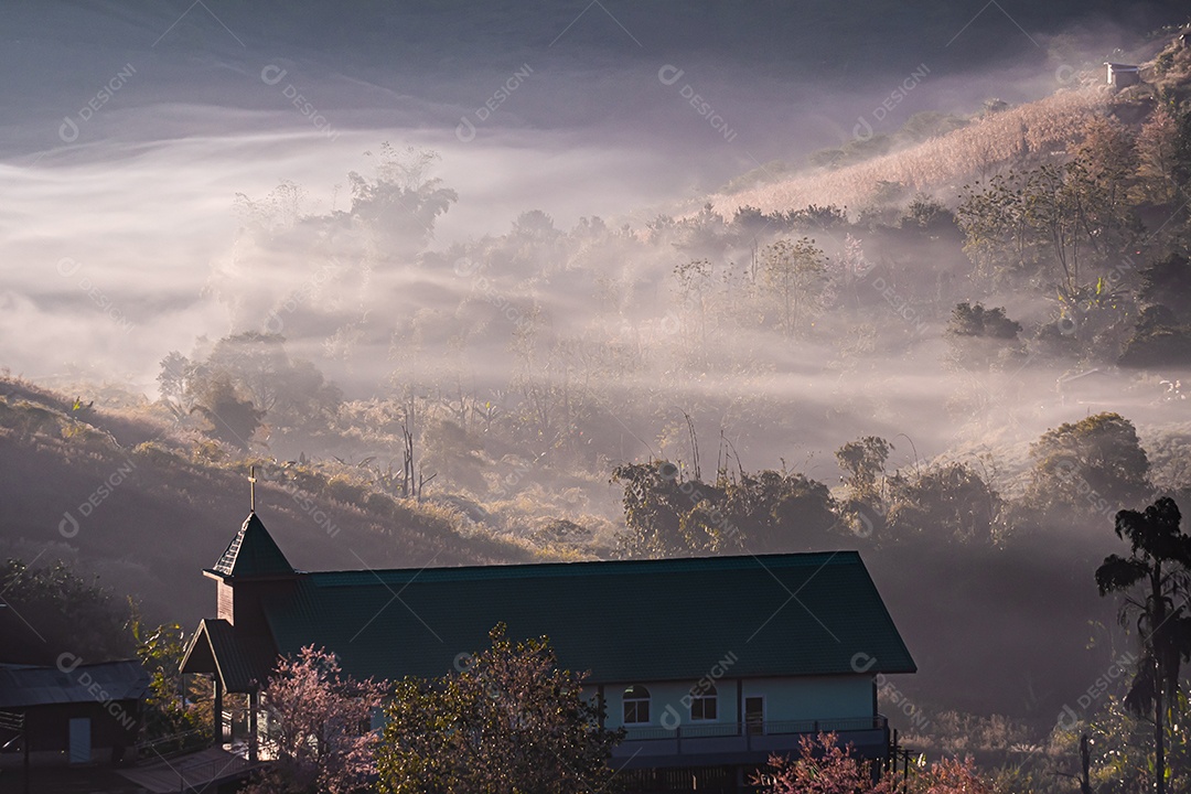 Paisagem de lindas cerejeiras selvagens do Himalaia florescendo flores rosa