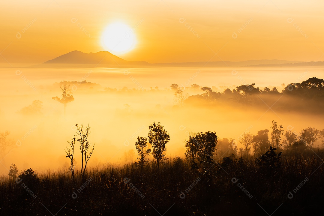 O sol sobre as montanhas e vastas pastagens